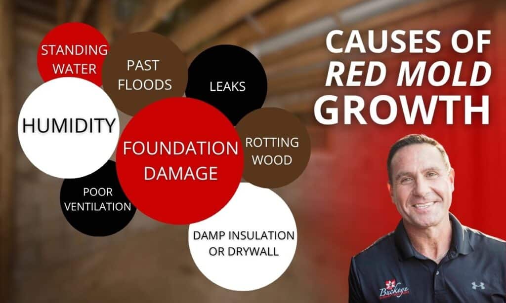 causes of red mold