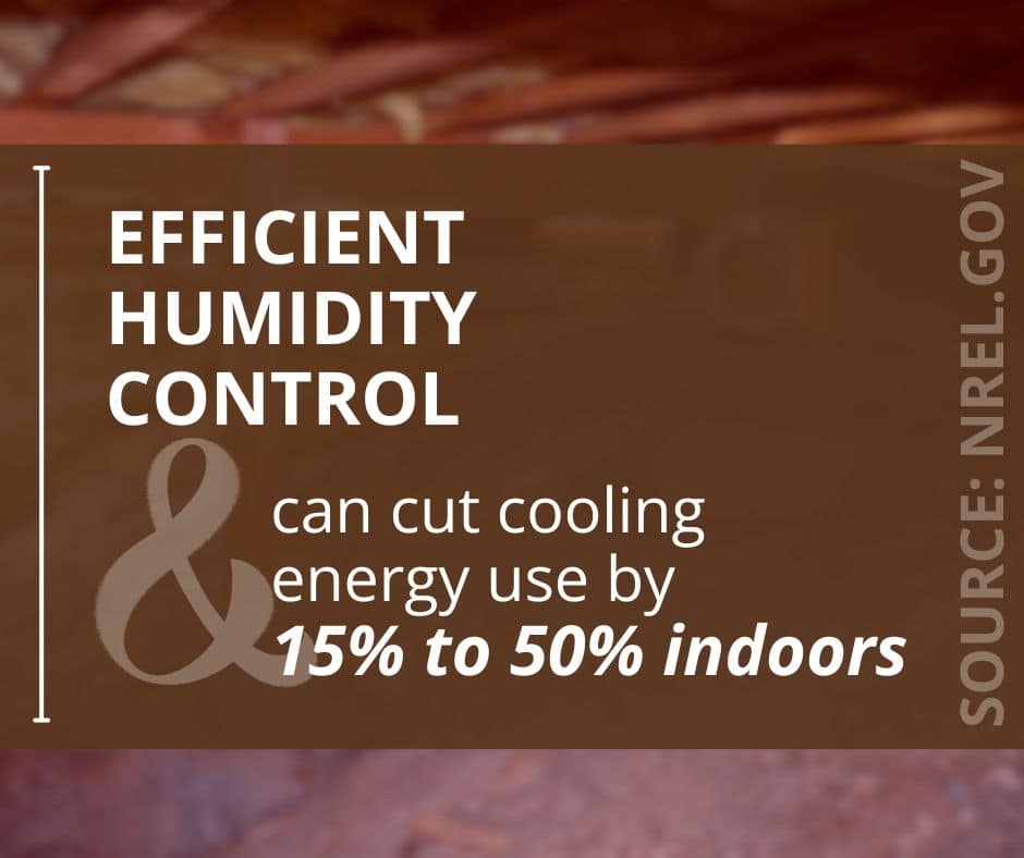 why a dehumidifier in the crawl space is helpful