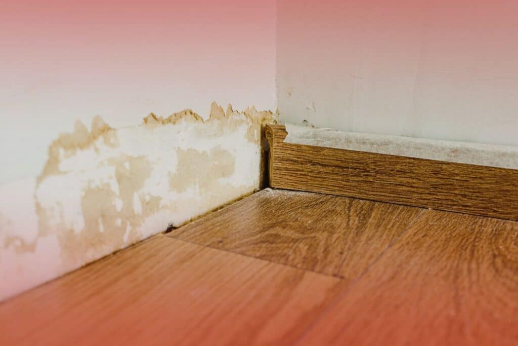 swelling warping in basement