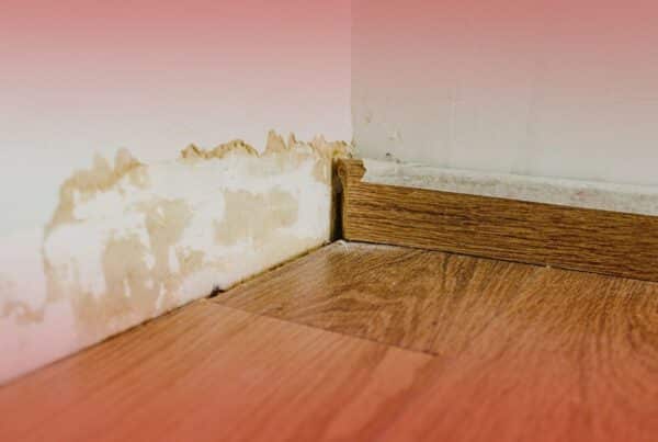 swelling warping in basement