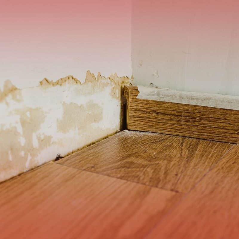 swelling warping in basement