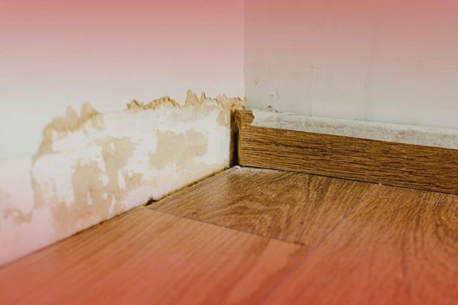 swelling warping in basement