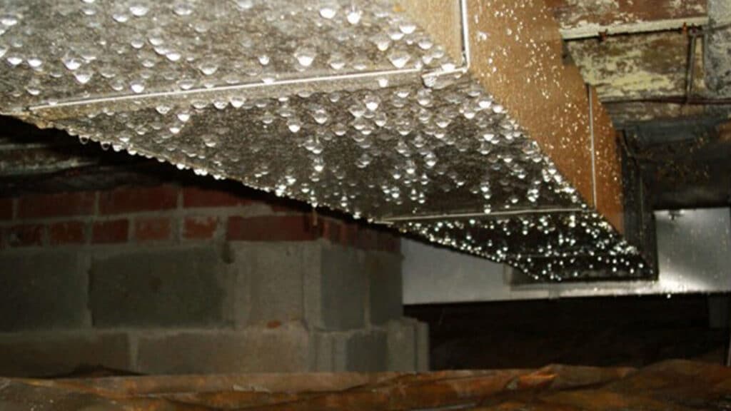 water in crawl space