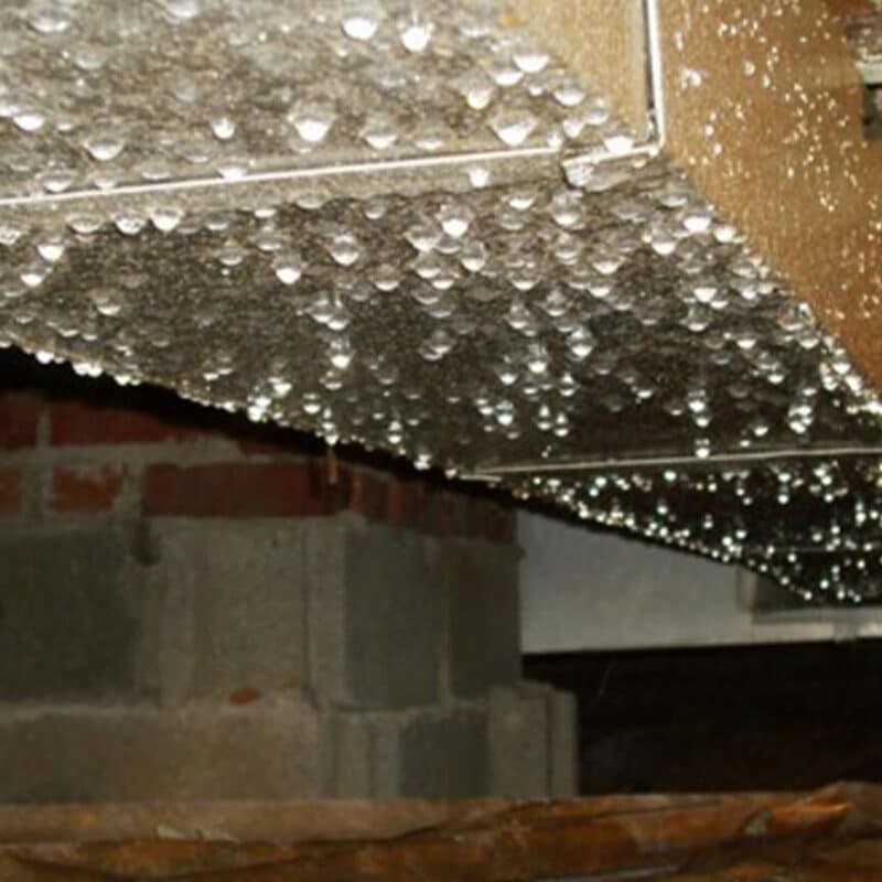 water in crawl space