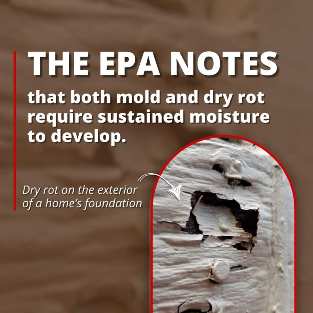 how dry rot and mold develop in a basement or crawl space