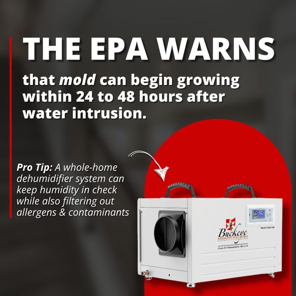 How does a whole-home humidifier help with mold