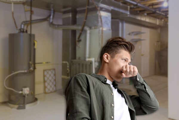 basement musty smell