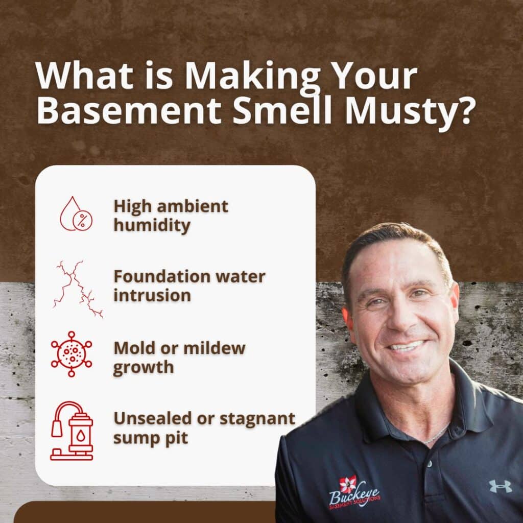 causes of musty basement smell