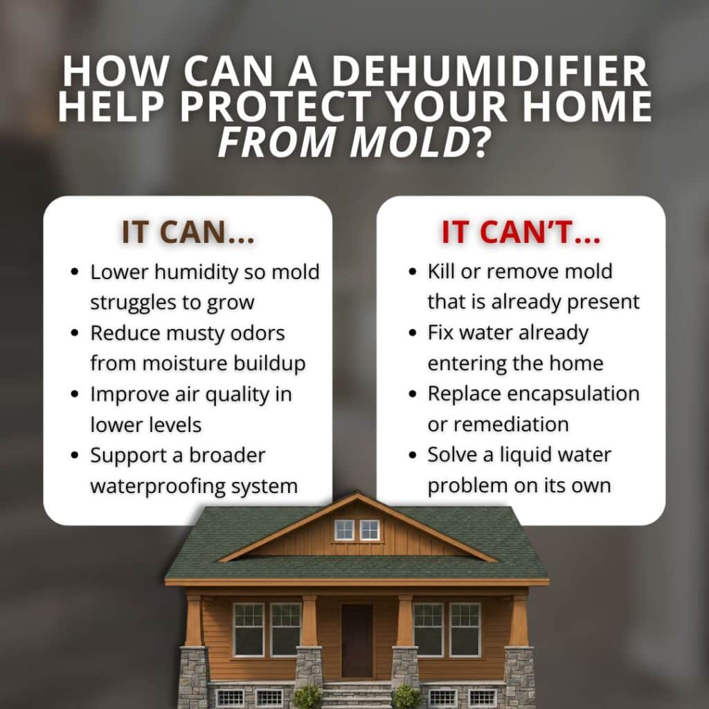 How does a humidifier help with mold