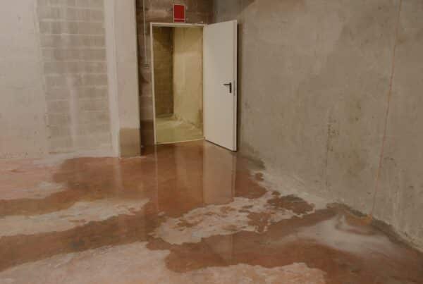 Standing water pooling on a stained concrete basement floor near the base of an unfinished masonry wall and open doorway.