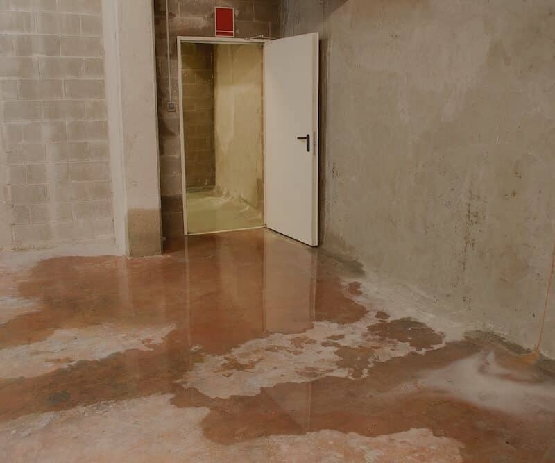 Standing water pooling on a stained concrete basement floor near the base of an unfinished masonry wall and open doorway.