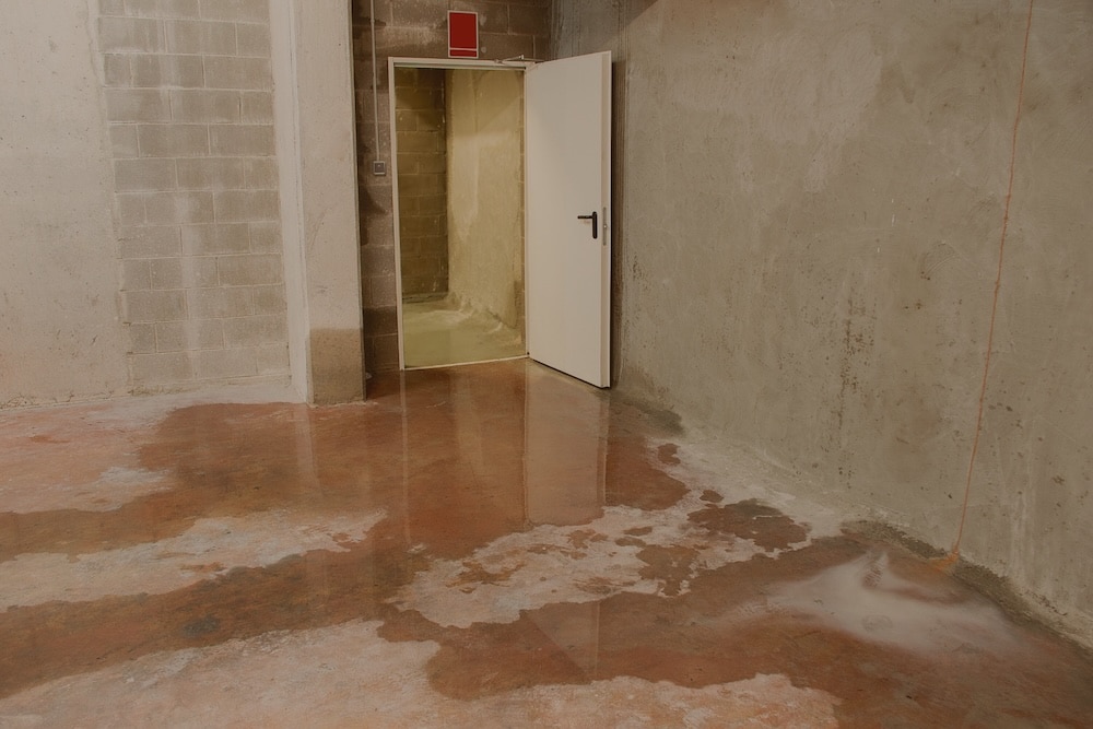 Standing water pooling on a stained concrete basement floor near the base of an unfinished masonry wall and open doorway.